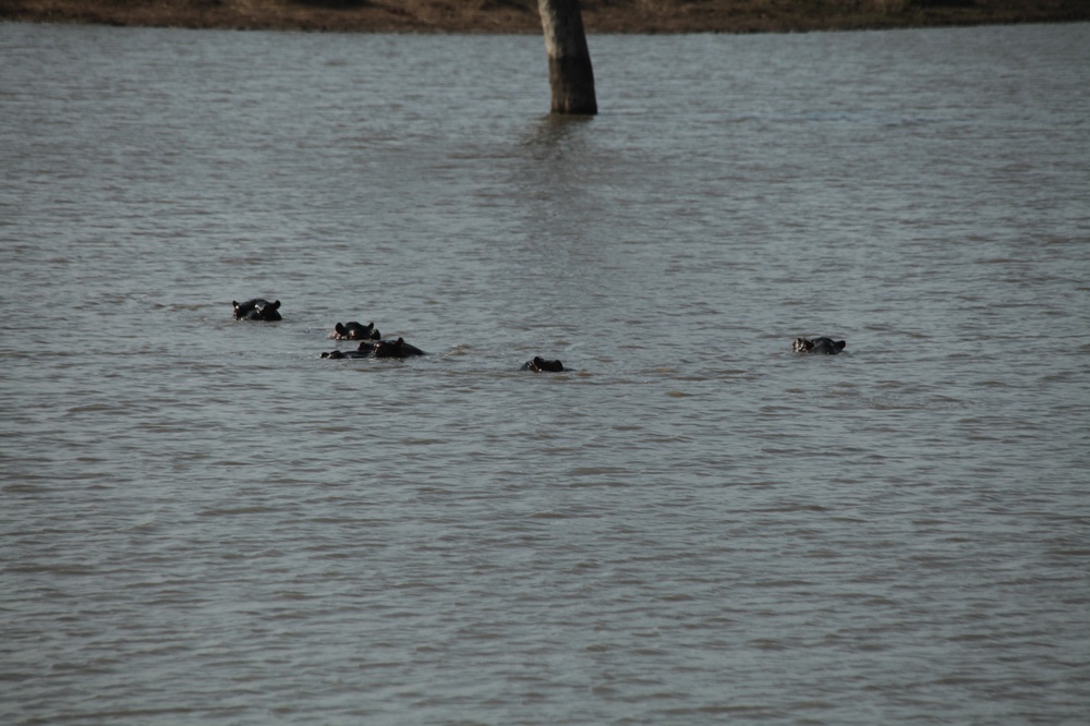 KrugerNationalpark_140816_143621 