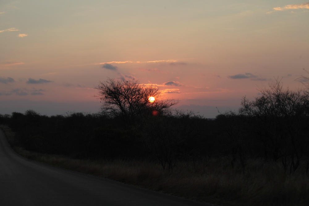 KrugerNationalpark_140816_172428 