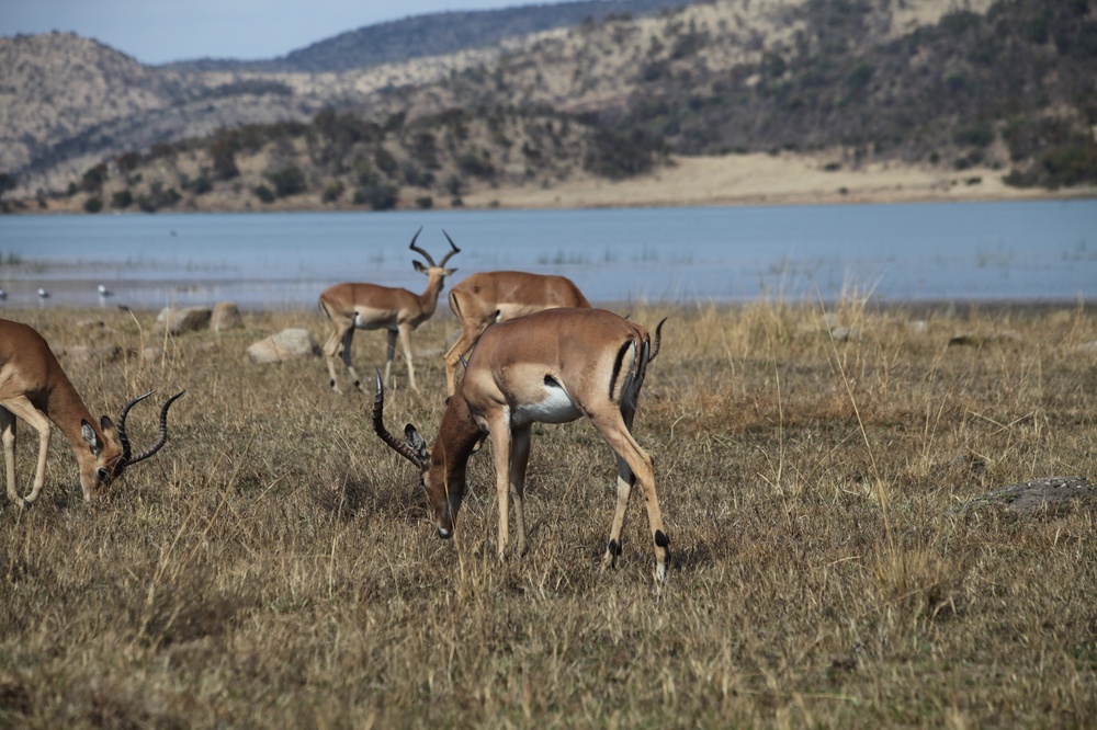 PilansbergNationalPark_140809_124311 