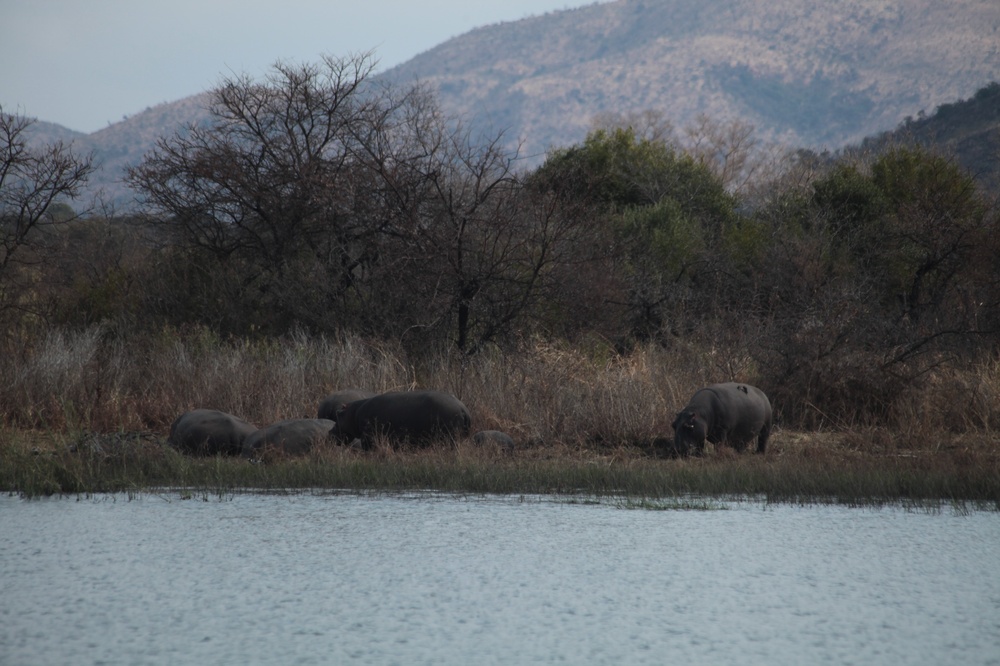 PilansbergNationalPark_140809_125056 