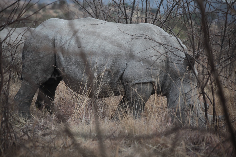 PilansbergNationalPark_140809_154823 