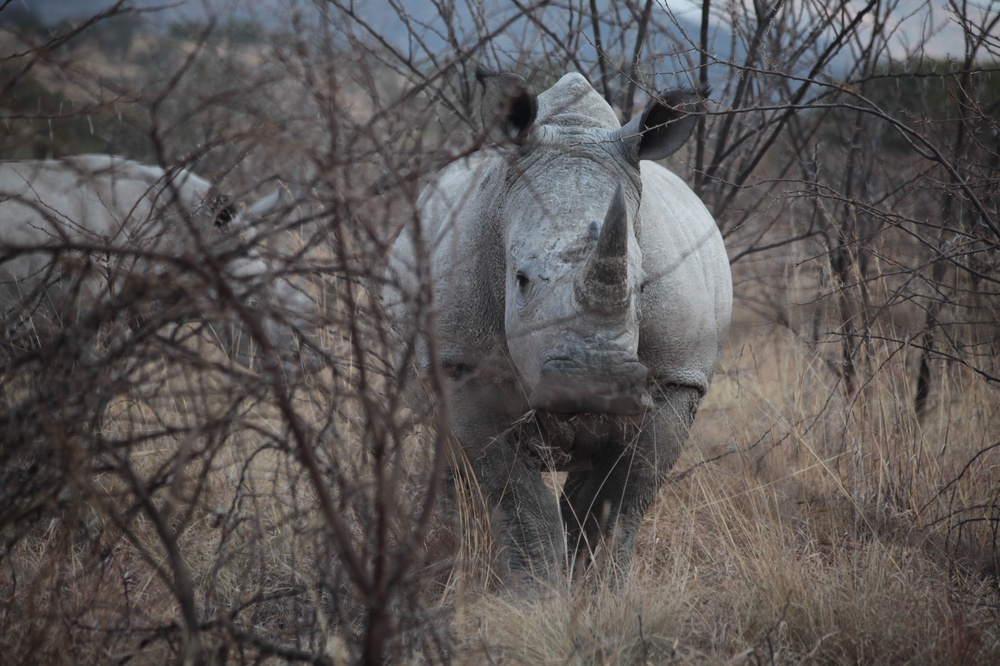 PilansbergNationalPark_140809_154837 