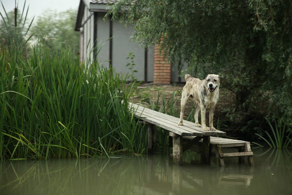 Donaudelta_150713_175651