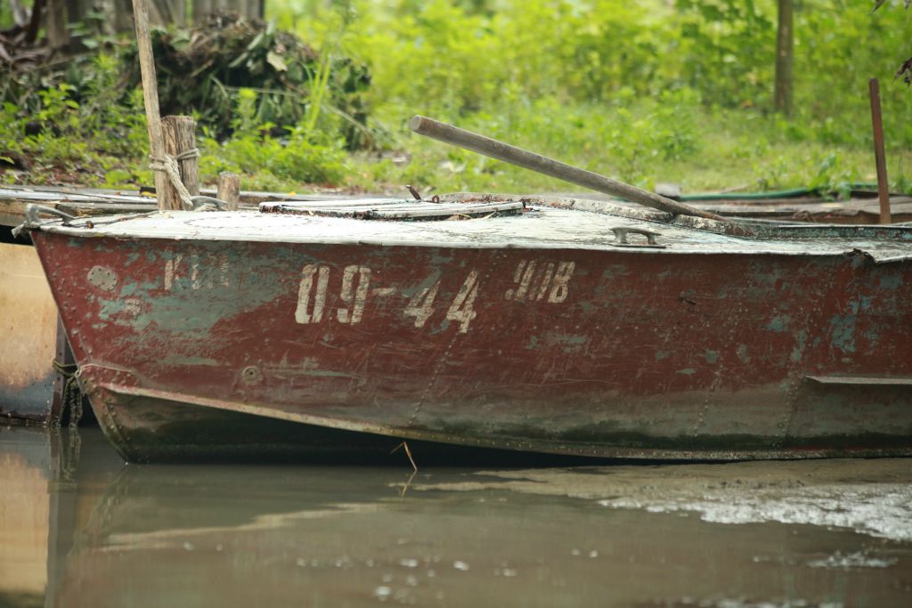 Donaudelta_150714_062310