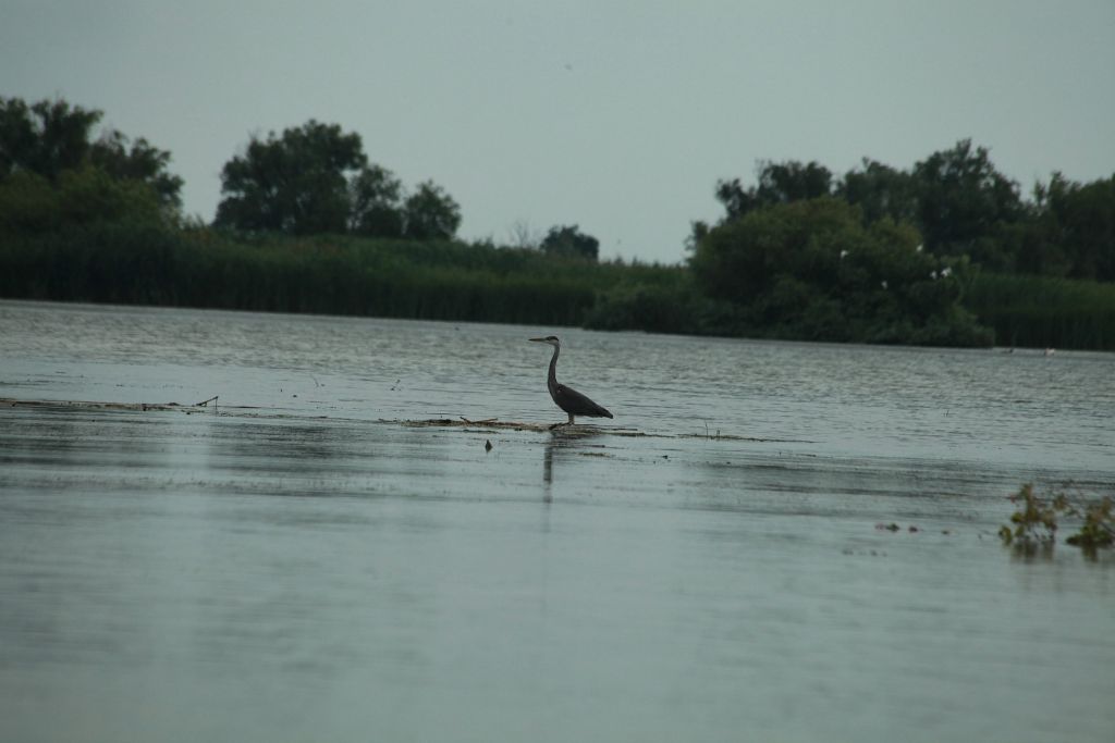 Donaudelta_150714_072257