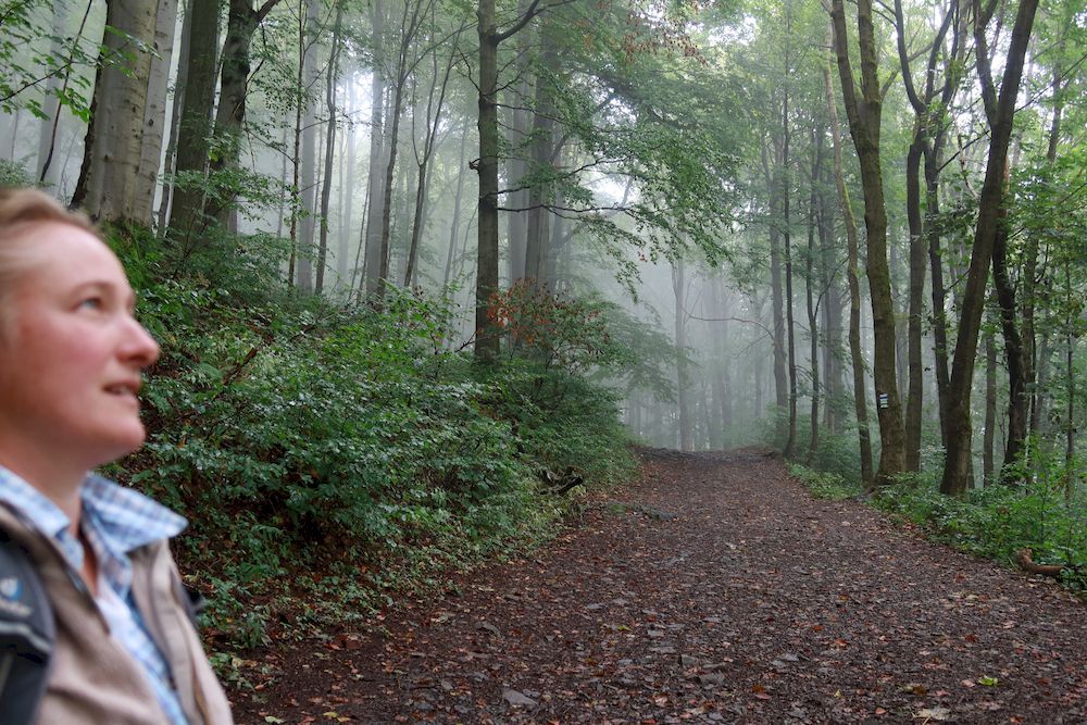 Lausitzer Gebirge | Lužické hory 